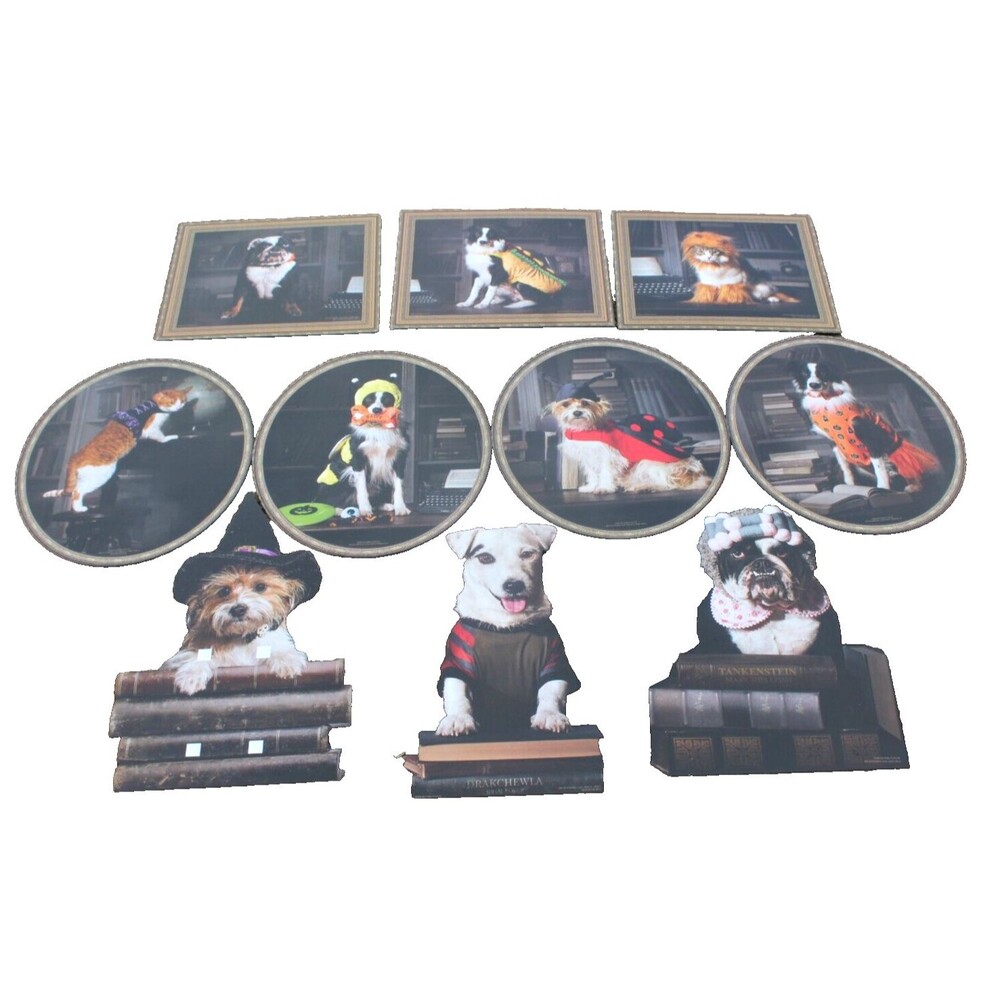 Huge Lot of 10 Dog Cat Halloween Pictures Display 12-18" Cardboard Costumes FUN